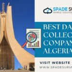Best Data Collection Companies in Algeria