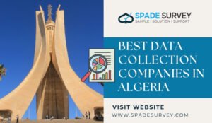 Read more about the article Best Data Collection Companies in Algeria