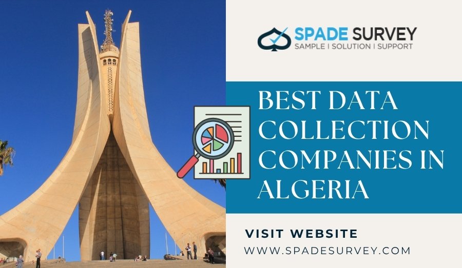 You are currently viewing Best Data Collection Companies in Algeria