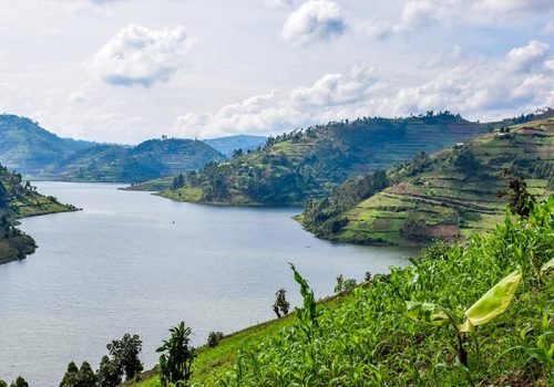 Data Collection Company in Uganda
