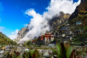 Market Research Company in Nepal