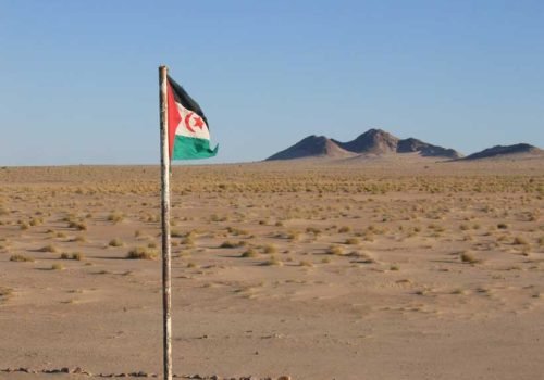 Market Research In Western Sahara