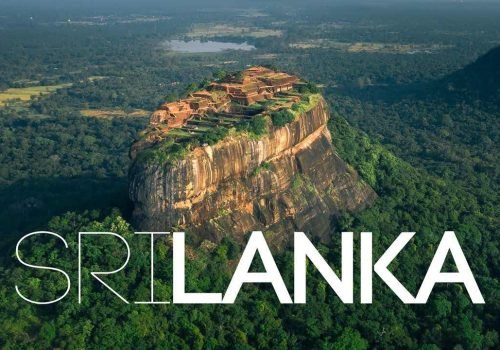 Market research in company Sri Lanka