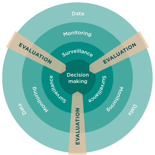 Monitoring and Evaluation Services