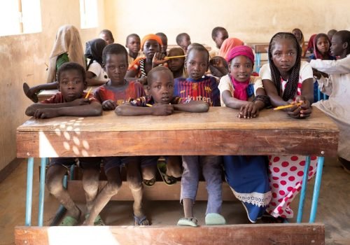 Social Research Services in Chad , Africa